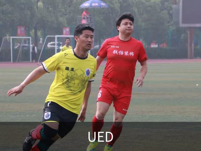 UED概况